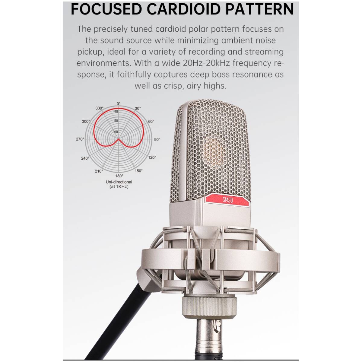 Takstar SM20 Professional Recording Microphone - Image 11