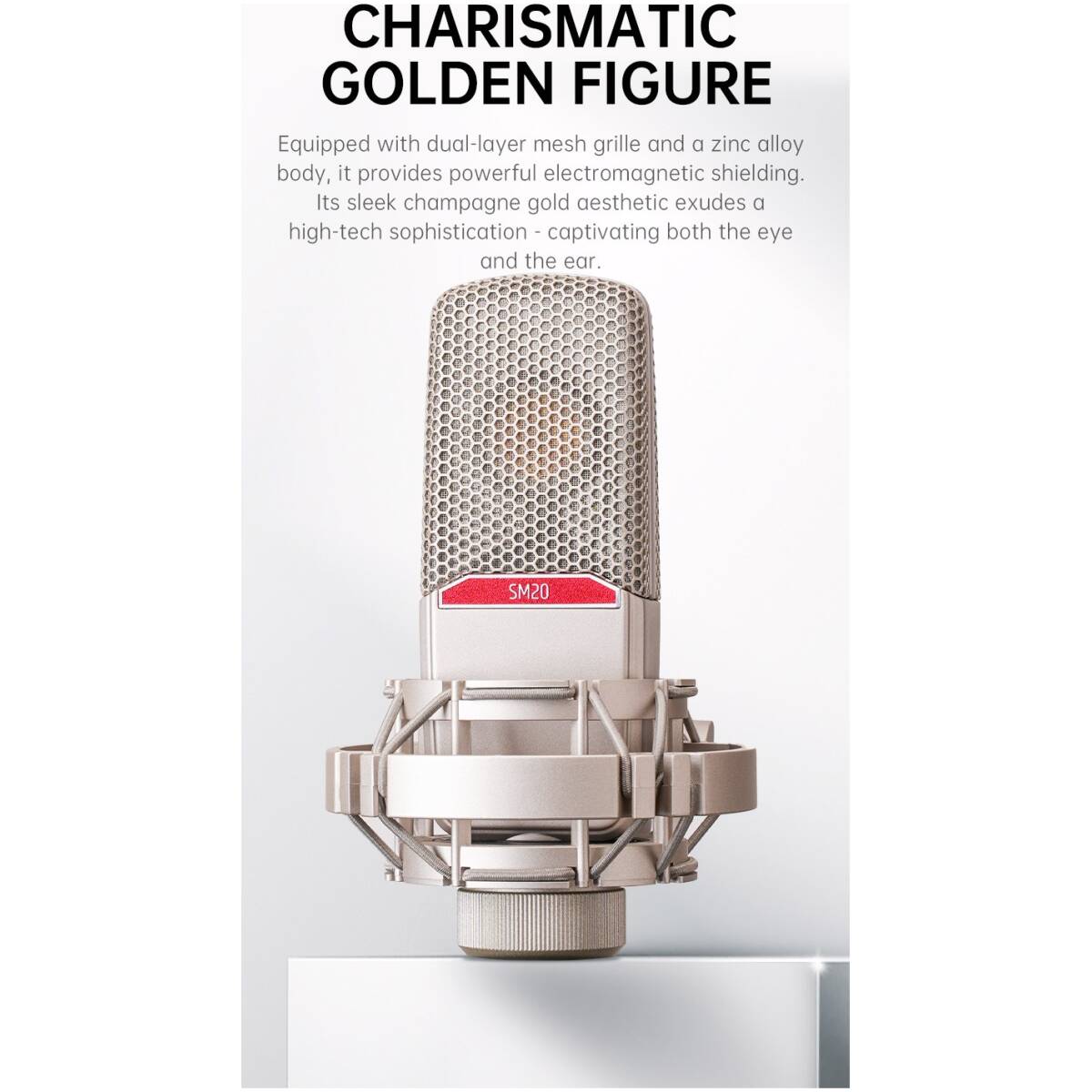 Takstar SM20 Professional Recording Microphone - Image 10