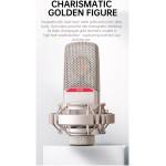 Takstar SM20 Professional Recording Microphone - Image 10