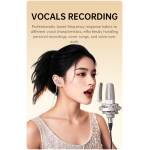 Takstar SM20 Professional Recording Microphone - Image 14
