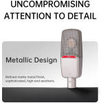 Takstar SM20 Professional Recording Microphone - Image 17