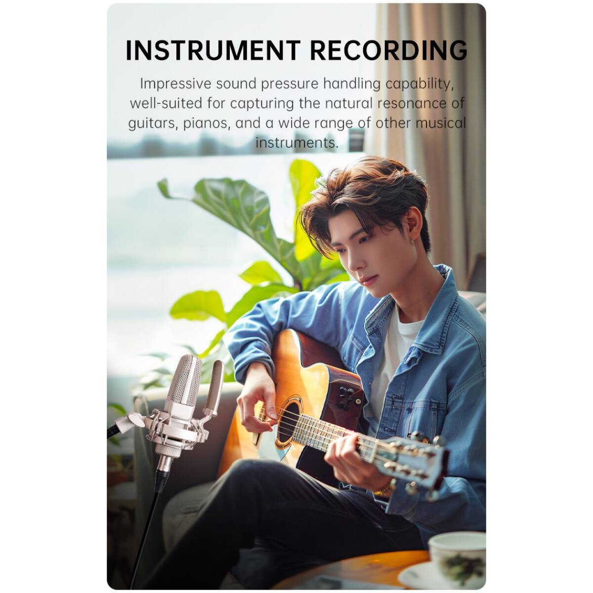 Takstar SM20 Professional Recording Microphone - Image 16