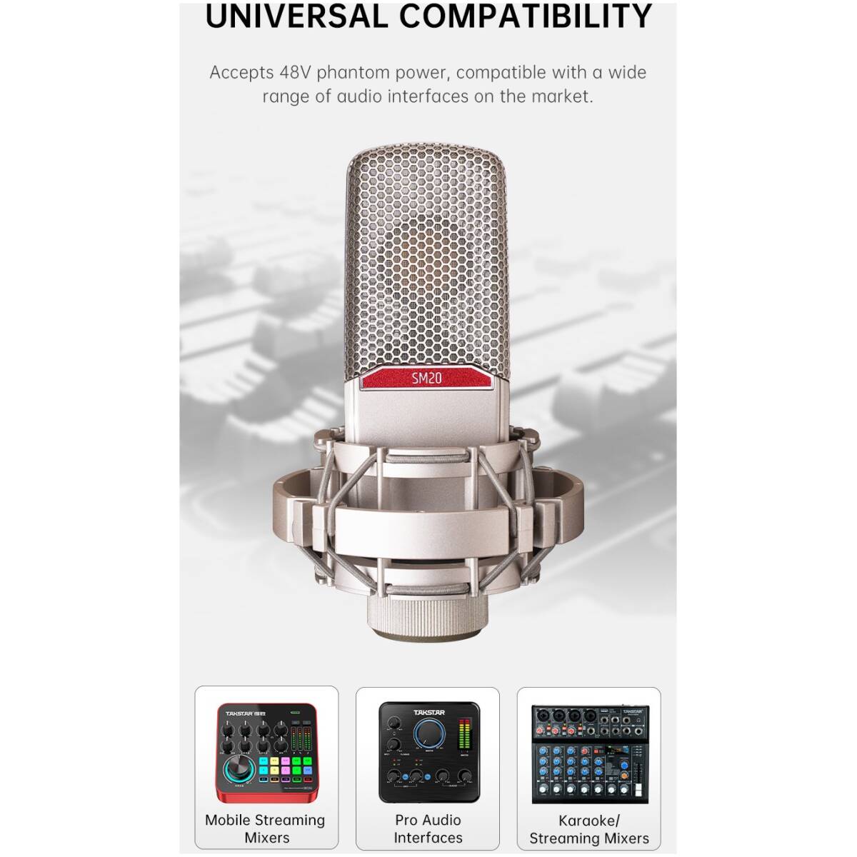 Takstar SM20 Professional Recording Microphone - Image 19