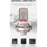 Takstar SM20 Professional Recording Microphone - Image 19