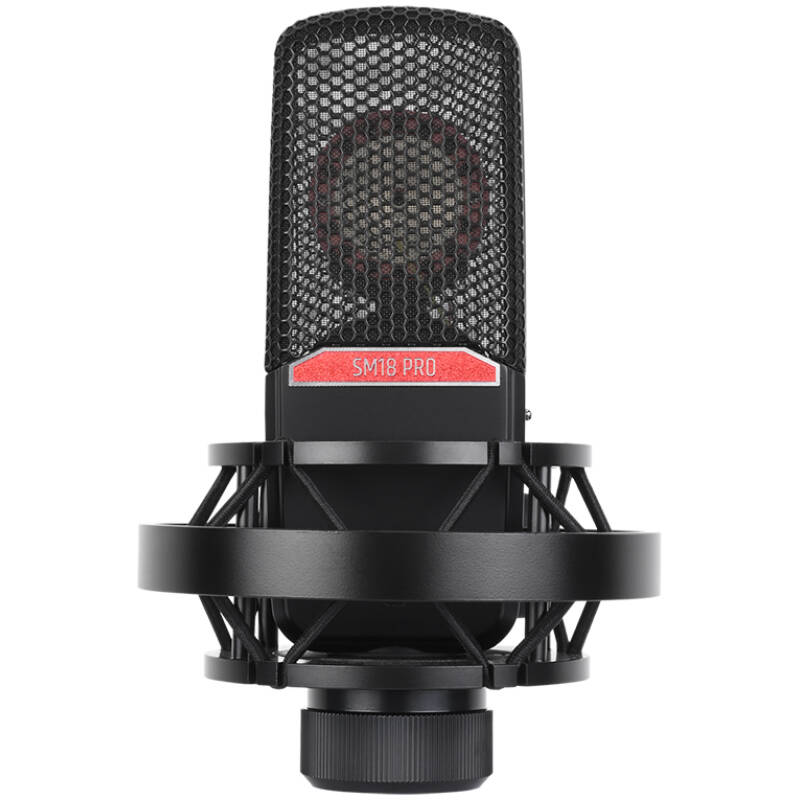 Takstar SM18 PRO (GEN 2) Professional Recording Microphone