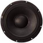 Nexus 12-300 12" Loose Speaker