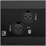 Audac NWP220 Black Network Input Panel