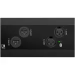 Audac NWP222 Black Network Input & Output Pane