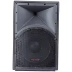 Nexus PV-15 Full 15" Range Passive Speaker