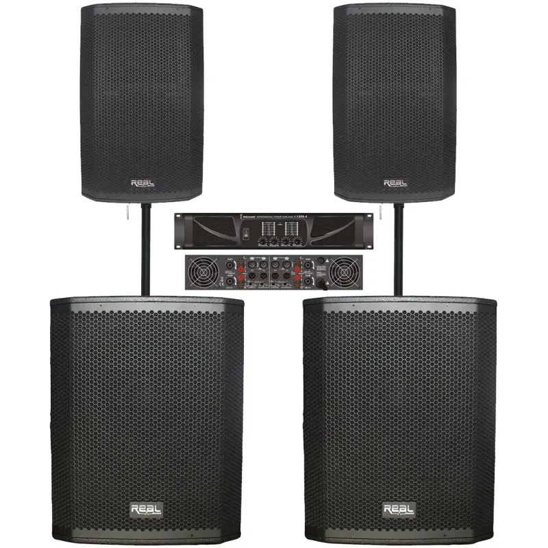 Real Sound MS-12 Passive Combo System