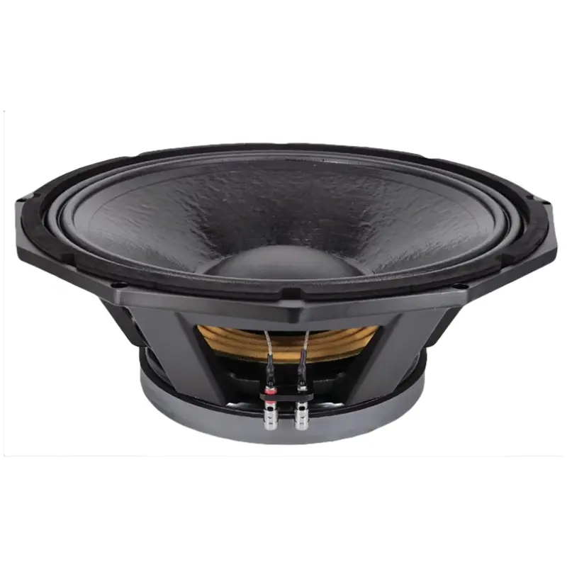 N9 Audio 6N100 100W Loose Speaker