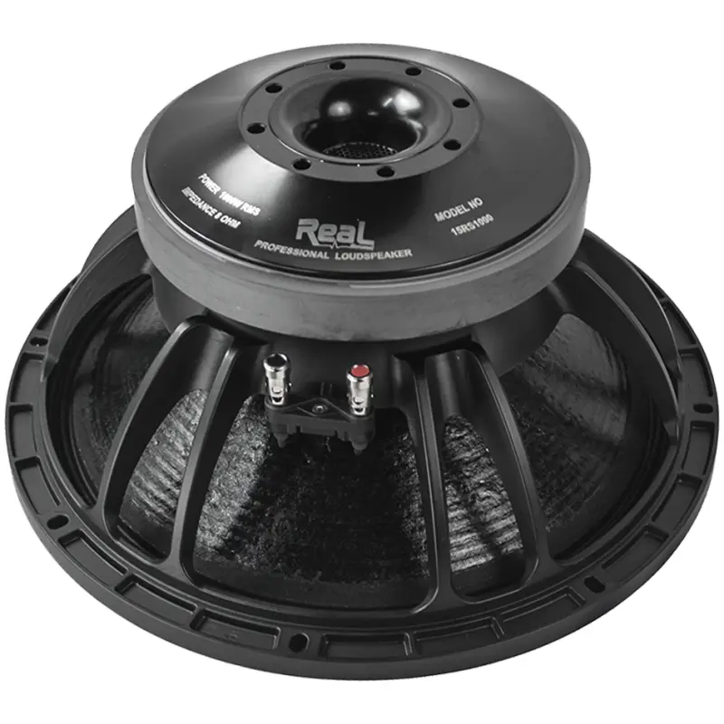 Real Sound 15RS1000 1000W 15" Loose Speaker
