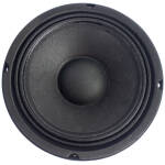 N9 Audio 8N100 100W Loose Speaker - Image 2