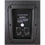 Imix Sound 15" Two Way Speaker Black Widow - Image 5