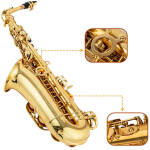 JinBao JBCS-280L Alto Saxophone - Image 3