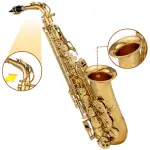 JinBao JBCS-280L Alto Saxophone - Image 2
