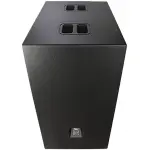 Real Sound ML-218 Dual 18" Passive Subwoofer - Image 2