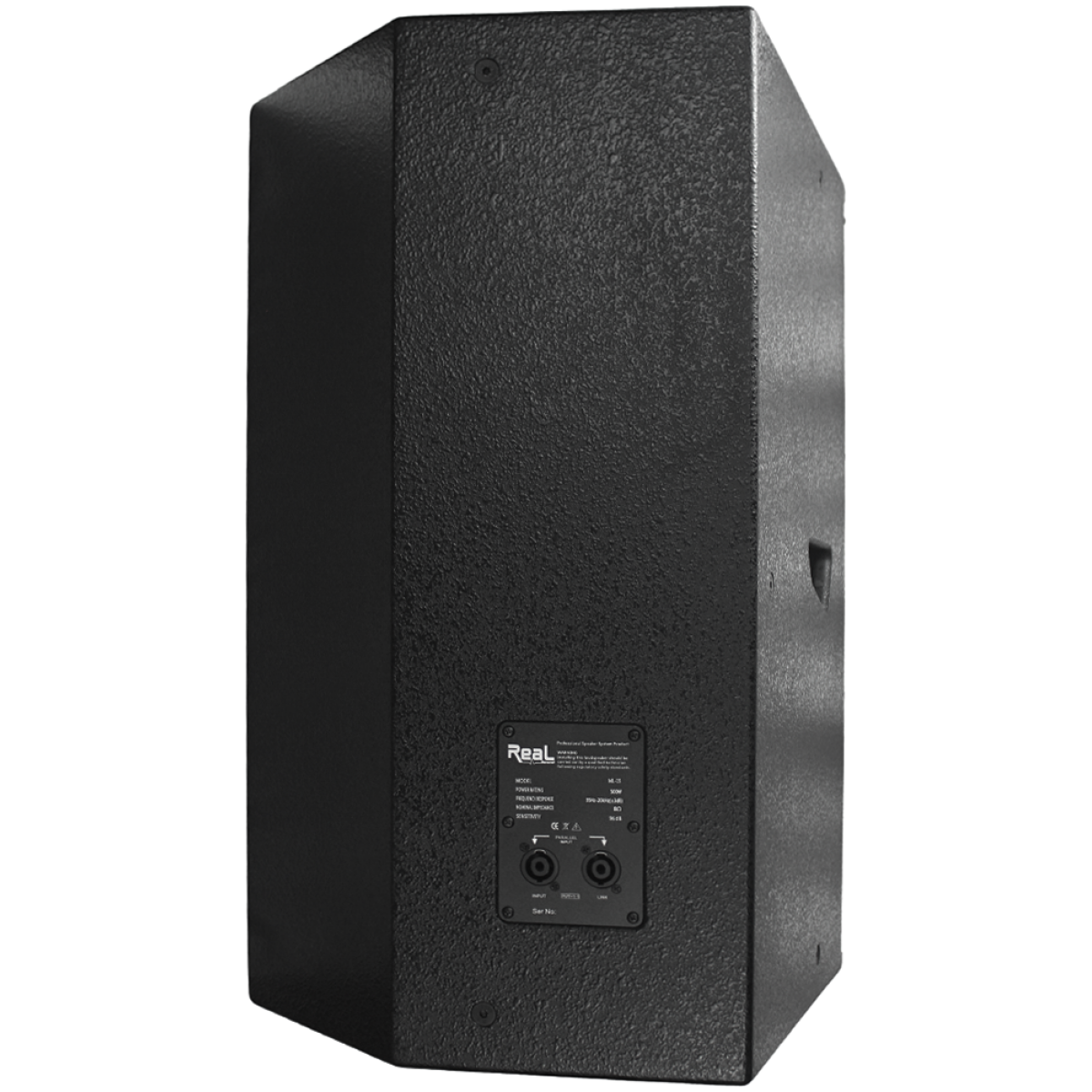 Real Sound ML-15 Passive Speaker - Image 2