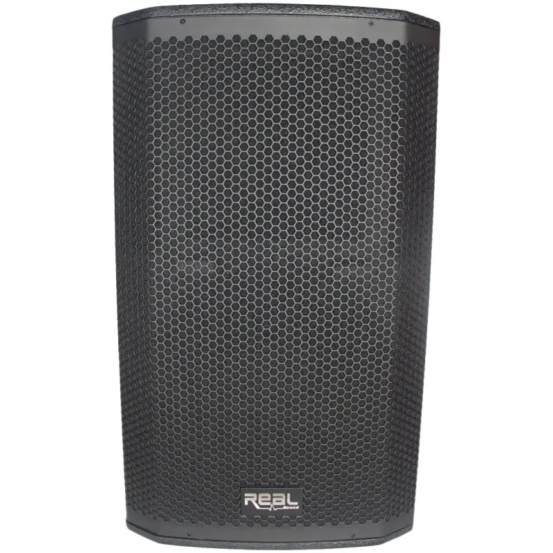 Real Sound MS-15/2+ Full Range Passive Speaker