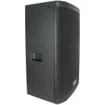 Real Sound MS-12/2+ 12" Full Range Passive Speaker - Image 2