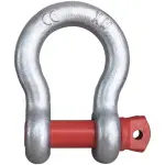 Screw Pin Anchor Shackle