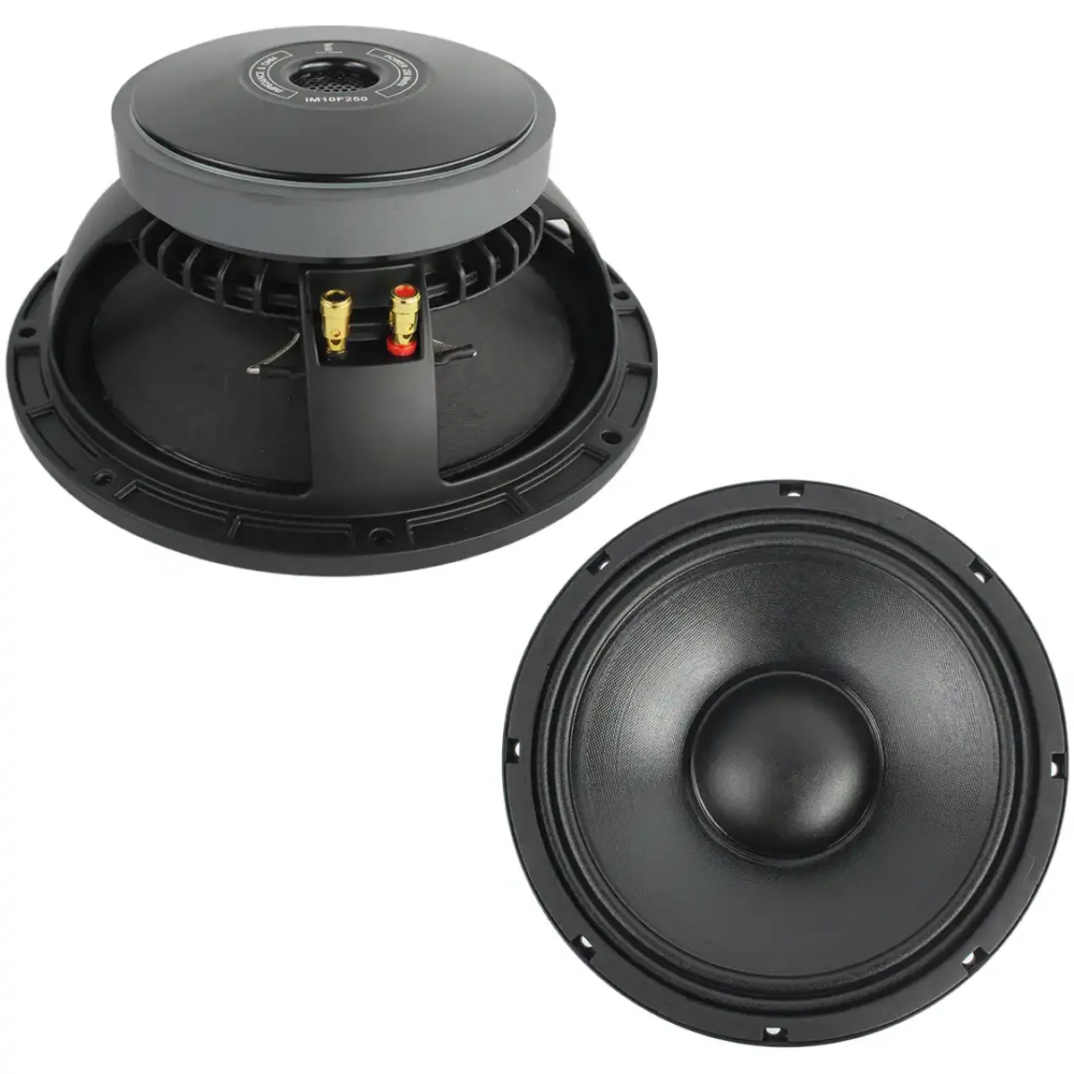Imix IM10F250 10" 250W Loose Speaker - Image 4
