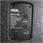 Real Sound MS218B 18" Dual Passive Sub Woofer - Image 6