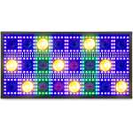 Beamz Attack Led Combi Strobe 24X 5W Rgb+cw+ww IP20 - Image 6