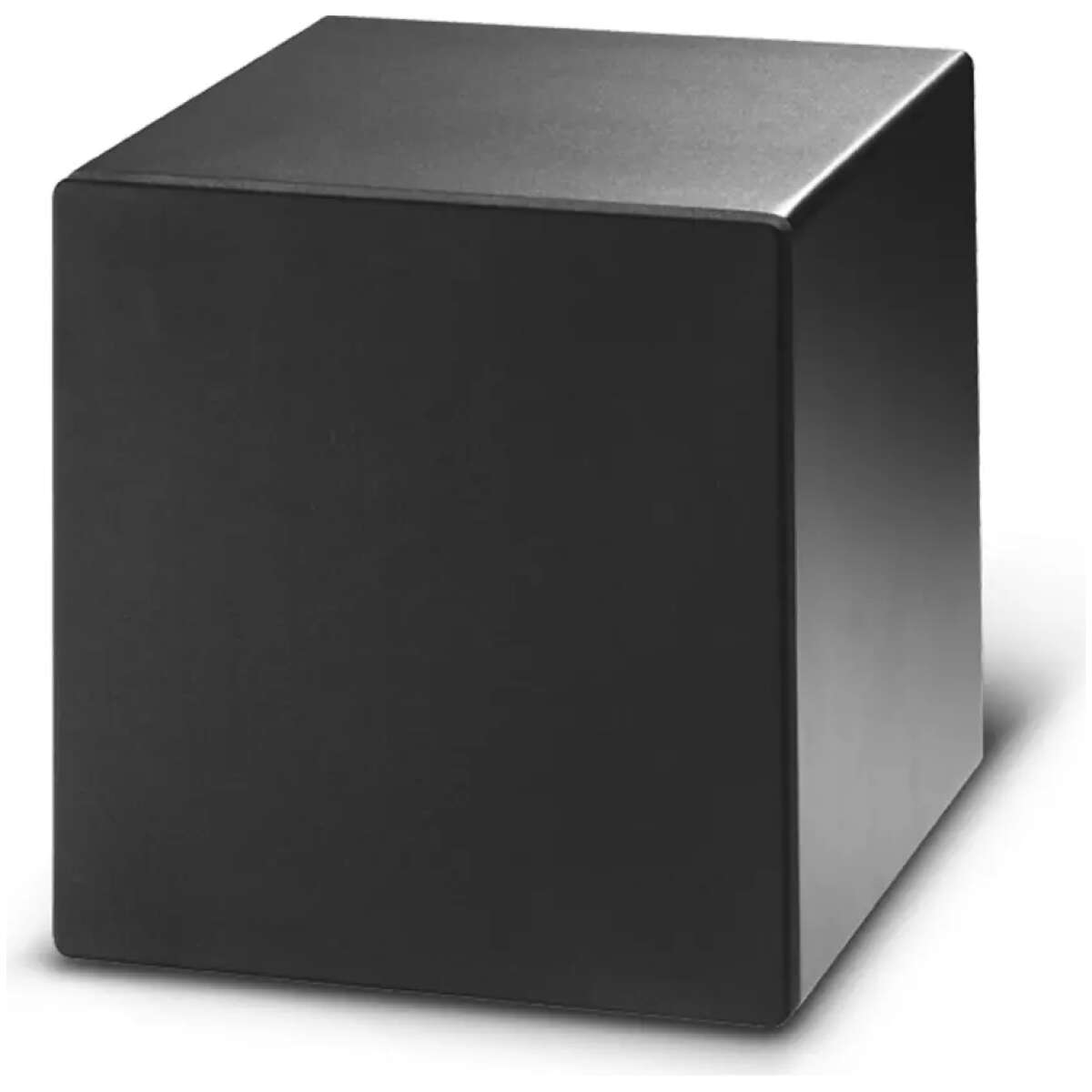 Fbt PROJECT1020SA Active Subwoofer 10INCH 150W Rms - Image 2