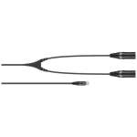 Sennheiser Ca 6042 Xlr Mini Xlr, 2x Xlr Cable (y Adapter Cable)