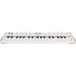 Arturia AstroLab 37 Stage Keyboard - Image 3