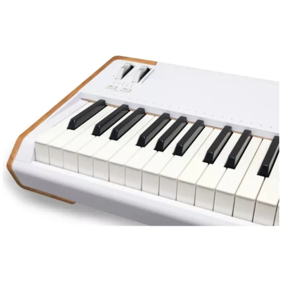 Arturia AstroLab 88-key Stage Keyboard – White - Image 3