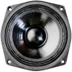 N9 Audio 6N100 100W Loose Speaker