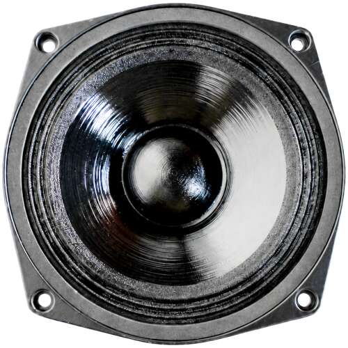 N9 Audio 6N100 100W Loose Speaker