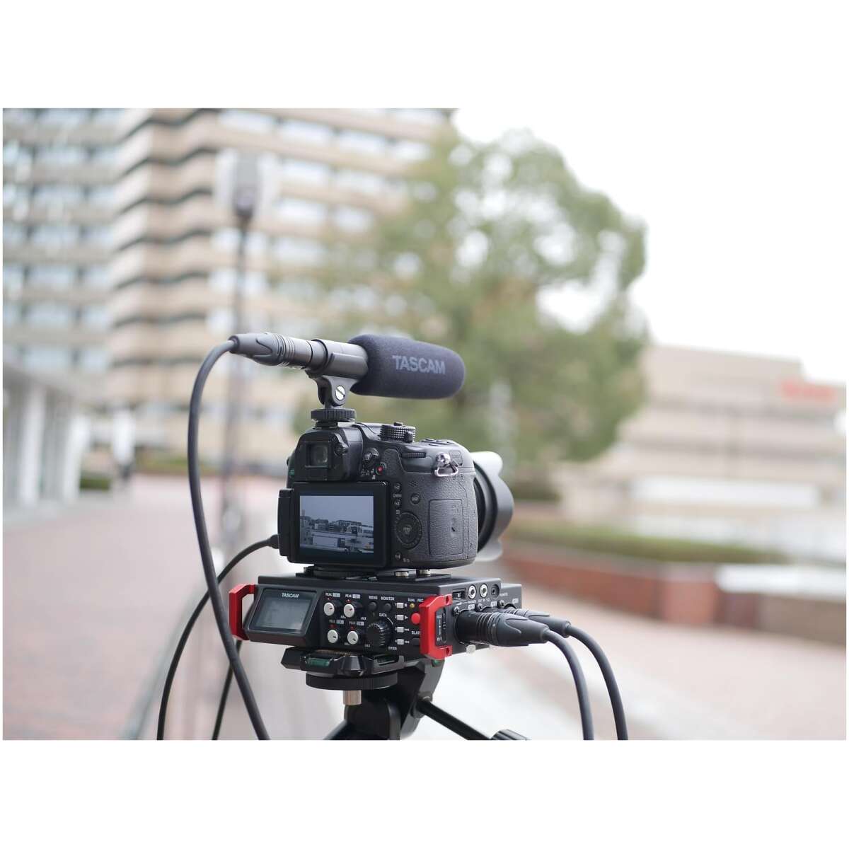 Tascam TM-200SG Shotgun Condenser Microphone For Video Shooting - Image 3