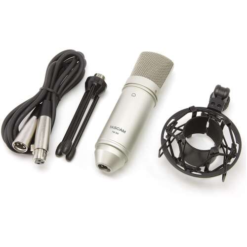 Tascam TM-80 Condenser microphone